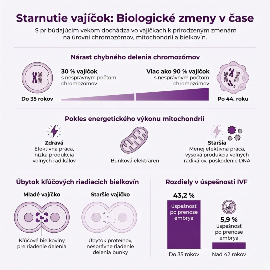 Infografika znázorňujúca ako sa mení kvalita ženských vajíčok s vekom.